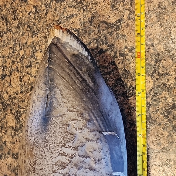 Vintage General Fibre Co Mallard Decoy - Picture 7 of 8